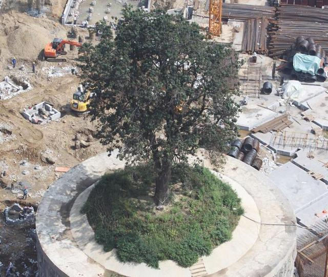 �差��400�f���o(h��)�Ř�ֵ��ֵ��