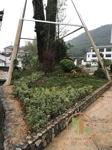 �Ř���ľ���حh(hu��n)�����켰����